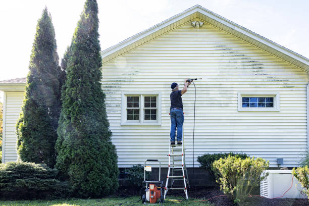 Pre-Holiday Cleaning in Linden, MI