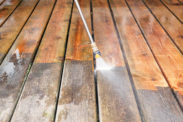 Best Roof Washing  in Linden, MI
